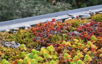 the cost of Mountgerald green roof installation