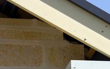 soffit repair Mountgerald