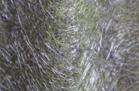 Mountgerald fibreglass roof work